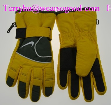 Ski gloves