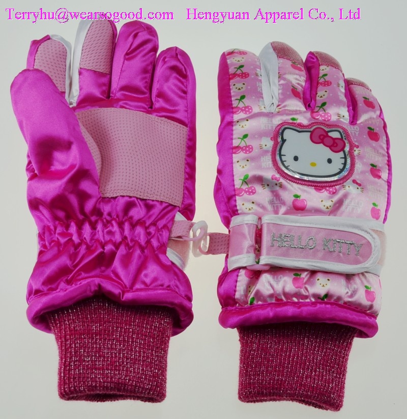 Ski gloves