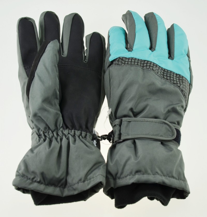 Ski gloves